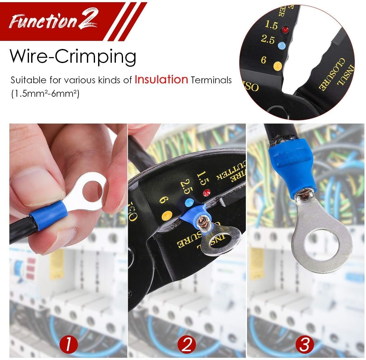 東北高校 バレーボールパンツ 紺×赤 春高 国体 全国 インカレ 展望】冬